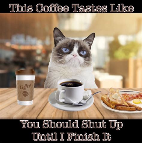 big cat coffee memes|Cats And Coffee GIFs 